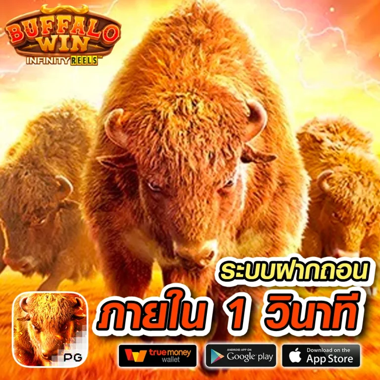 zumo55 เครดิตฟรี